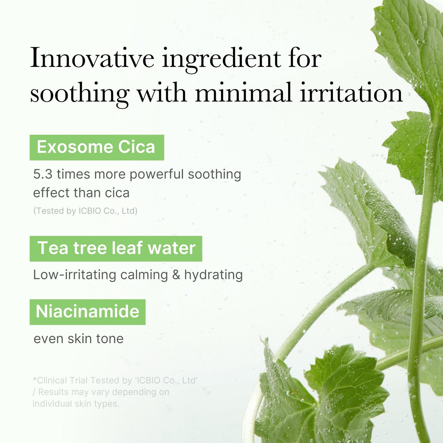 exosome-cica-calming-toner-pads-e6 03_d73c7e58-fe02-42b9-8dfe-6db8bcfc4a9d.jpg